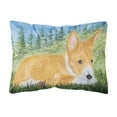 thumbnail image 1 of Carolines Treasures SS8016PW1216 Basenji Decorative Canvas Fabric Pillow, Large, Multicolor, 1 of 3