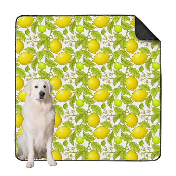 Dog Potty Training Pads Reusable Washable, Bright Fruit Pattern Absorbent Pad with Locking Bottom for Floors (Fruit patterns, 72"x72")