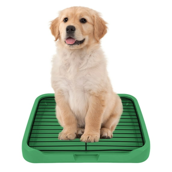 Dog Potty Tray Indoor Mesh Dog Litter BOX Toilet Pee Pad Holder Puppy Training Tray Removable Stable Structure Pet Training Pads