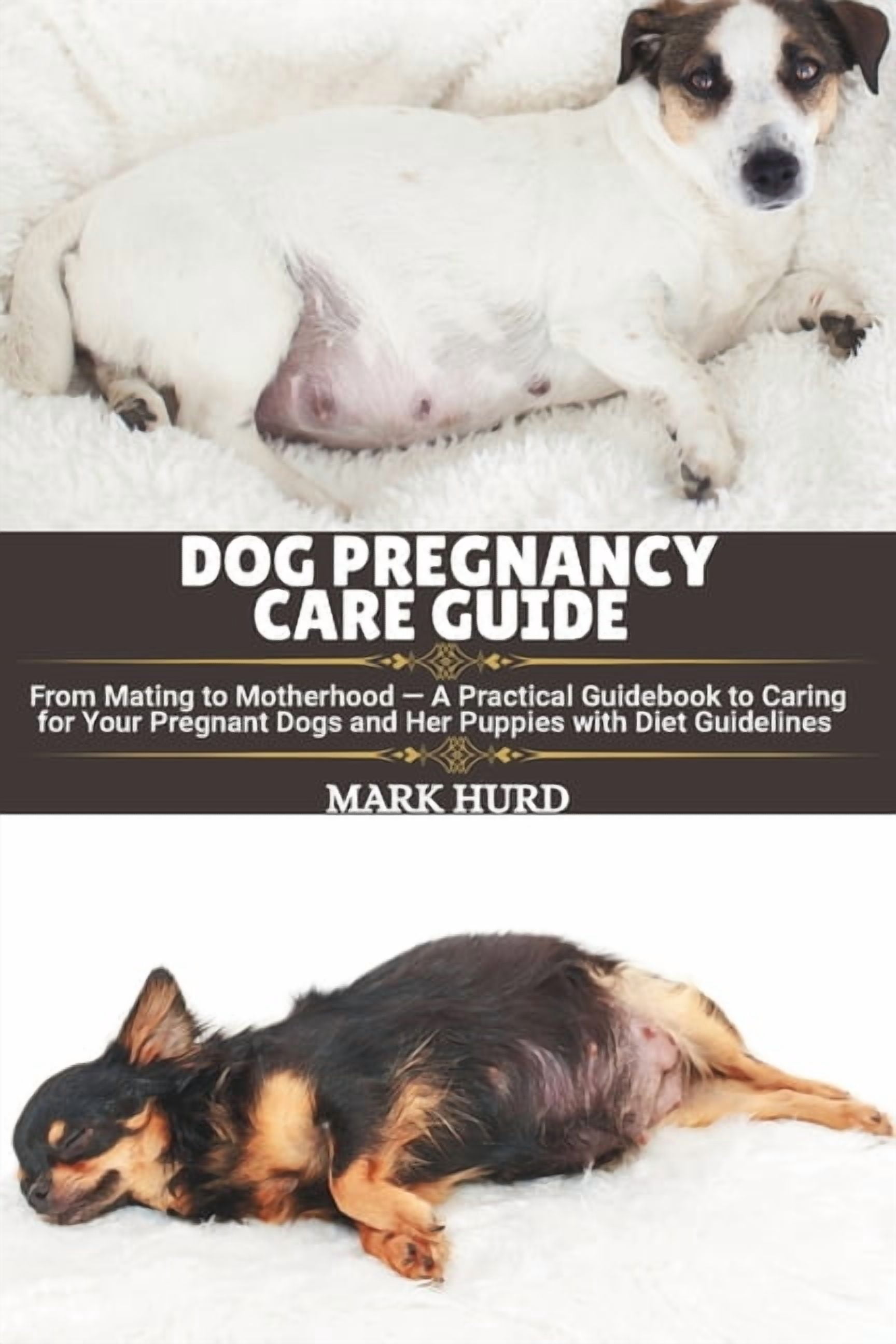 Positive Reinforcement Pet Home Dog Pregnancy Care Guide: From Mating ...