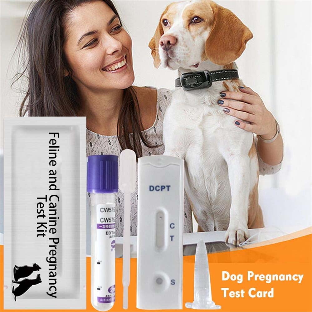 Dog Pregnancy Test Strip Dog Pregnancy Test Card Canine Pregnancy Test