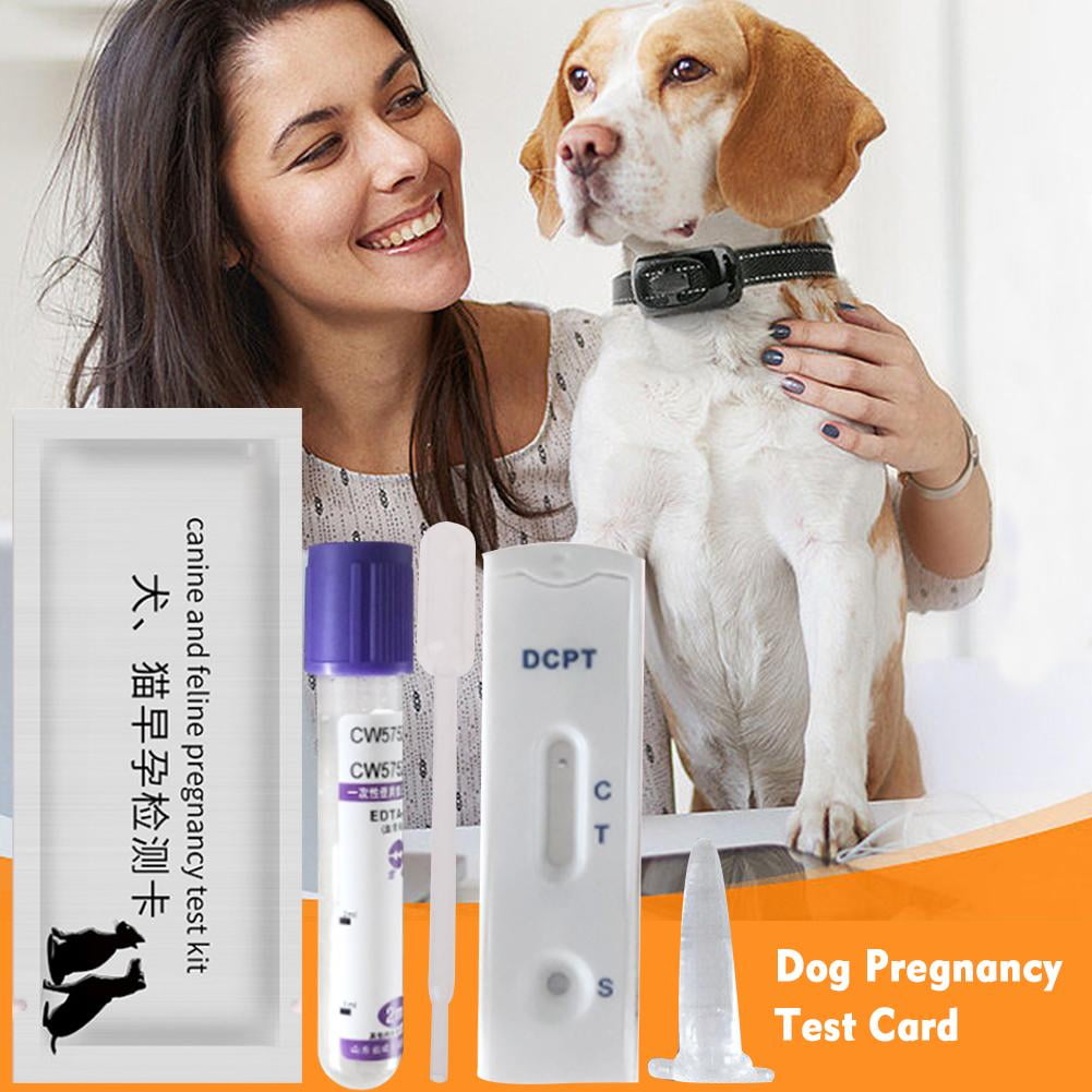 Dog Pregnancy Test Strip Dog Pregnancy Test Card Canine Pregnancy Test