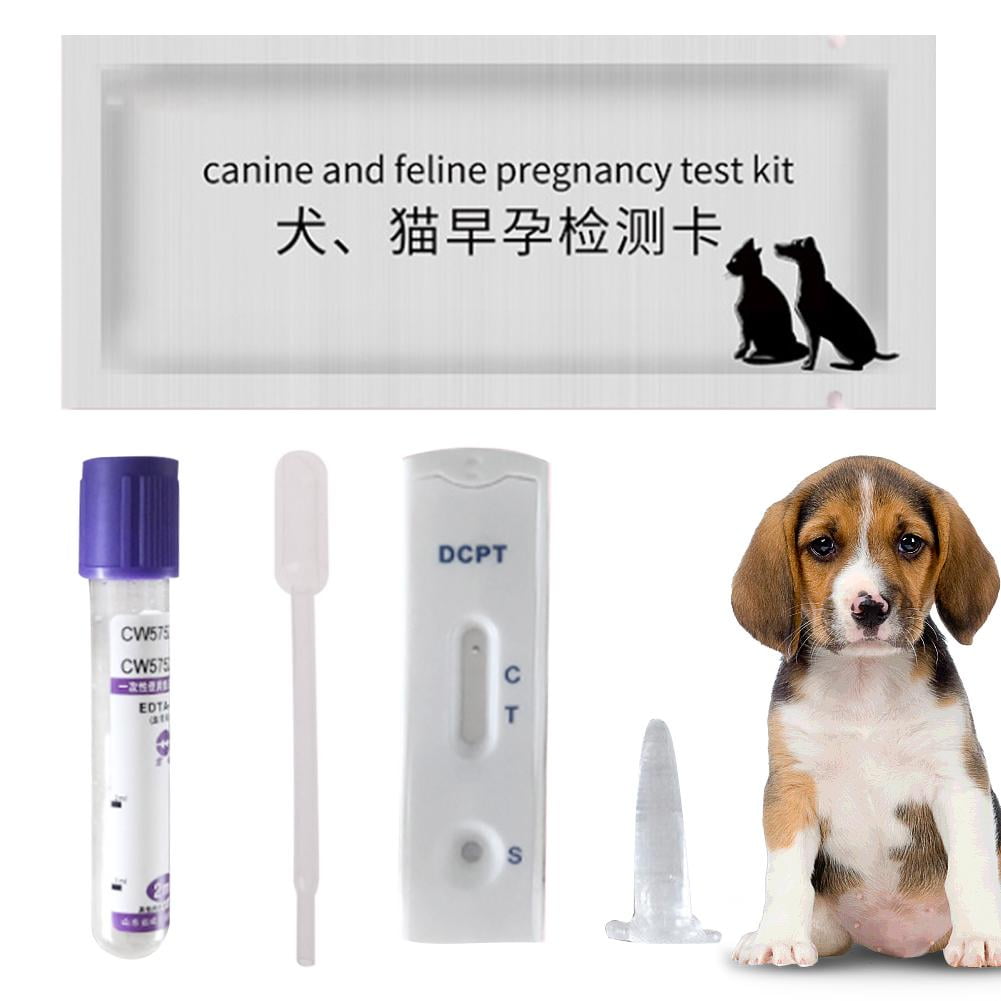 Dog Pregnancy Test Strip Dog Pregnancy Test Card Canine Pregnancy Test