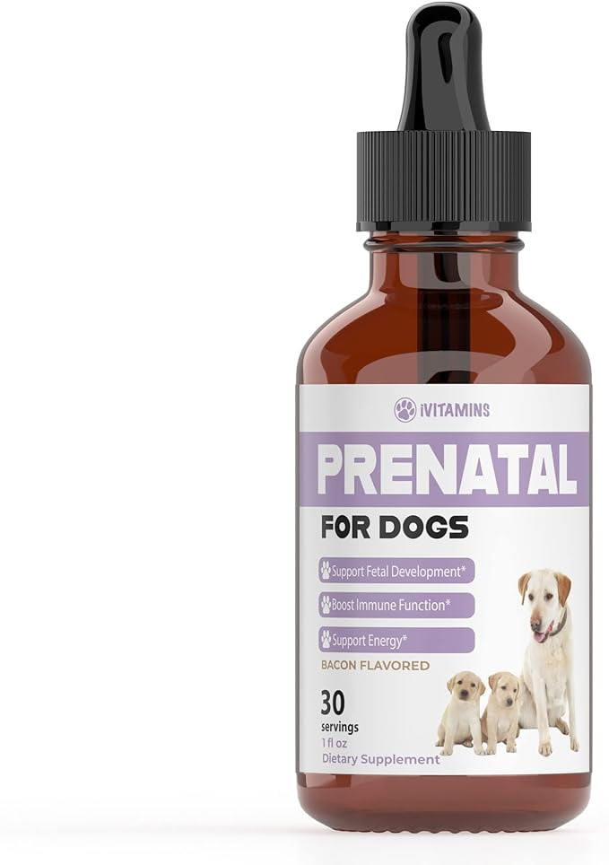 Pregnant dog vitamin supplements 2025