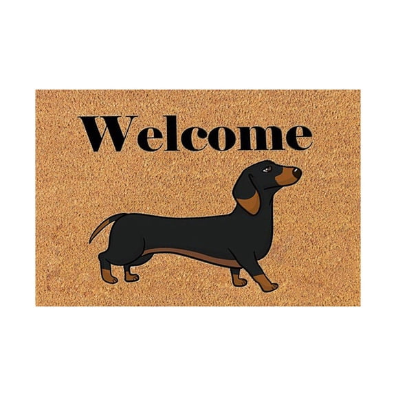 Dog Printed Carpet Mat, Dachshund Pattern Non-Slip Area Rug for Pet Theme Room, Kids Bedroom, Living Room, Nursery, and Home Decor, Machine Washable