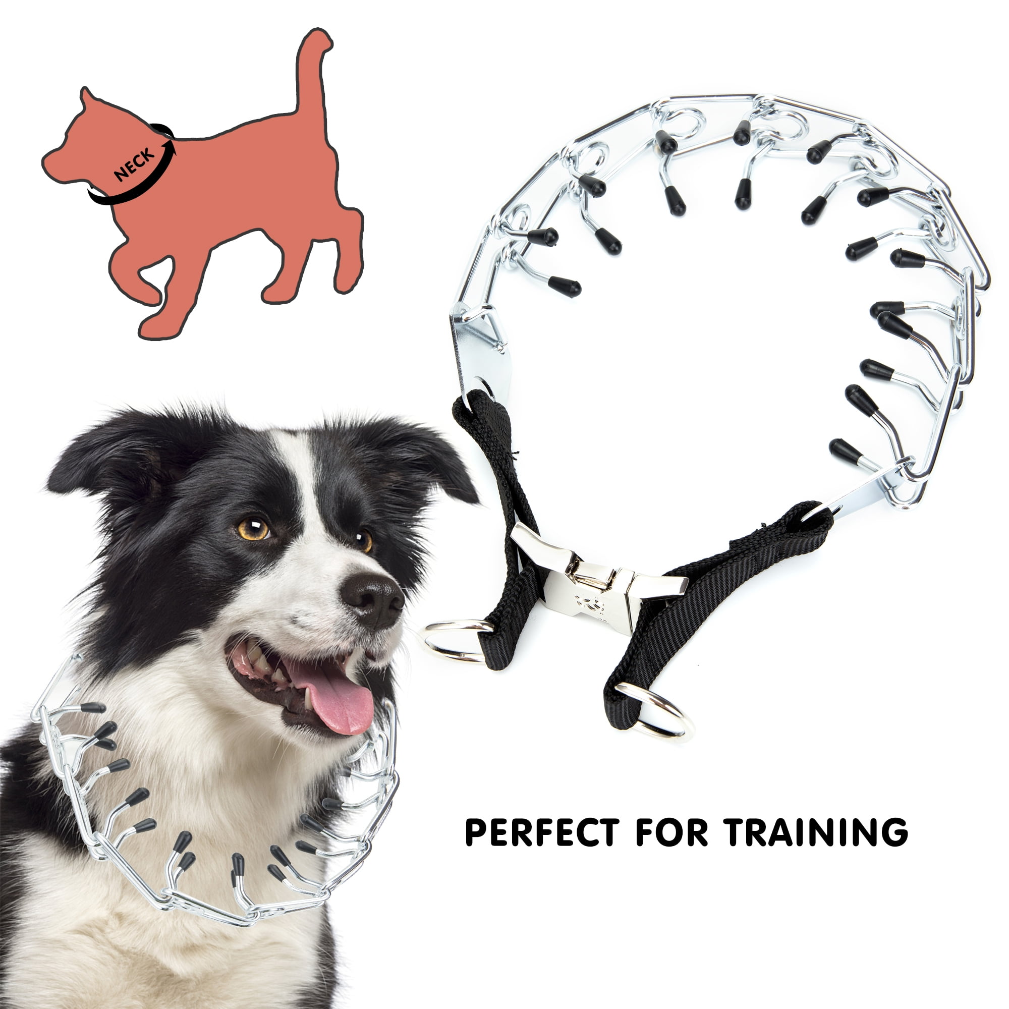 Pinch collar for top dogs that pull