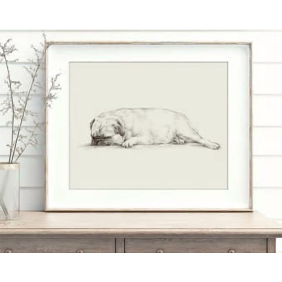 Dog Pug Drawing Antique Sketch By Ethan Harper Poster , Poster Print ...