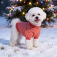 thumbnail image 1 of Dog Pullover Sweaters for Small Medium Thermal Knitted Puppy Sweater with 2 Legs Pet Winter Clothes Sweatshirt Outfit Warm Soft Winter Coat for Cat Chihuahua Bulldog Dachshund Pug Red,XS, 1 of 3