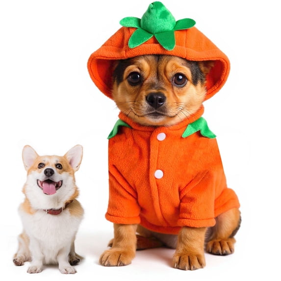 Dog Pumpkin Costume,Halloween Thanksgiving Dog Costume Outfits Party Dress Winter Jacket Hoodie Funny Clothes Animal Autumn Winter Sweater ,S