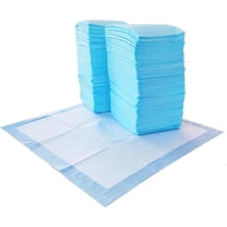 Dog and Puppy Pee Pads with 5-Layer Leak-Proof Design and Quick-Dry Surface for Potty Training, Regular, 22 x 22 Inch, Scented, Pack of 40, Blue & White