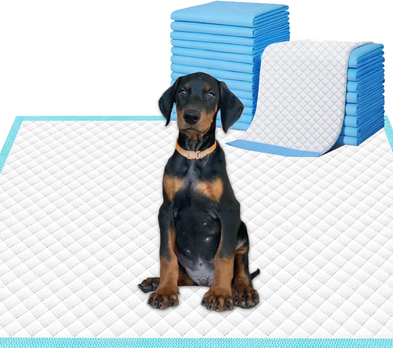 Dog and Puppy Pee Pads,Super Absorbent Pee Pads for Dogs, Disposable Urine Bed Pads for Doggie, Thicken L Dog Pads for Indoor, Outdoor Use ,Blue & White