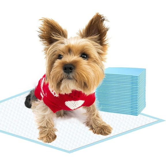 Dog and Puppy Training Pads, Potty Pads, Dog Pads Diapers Leak-Proof 6-Layer Pee Pads with Thicker Materials with Quick-Dry Surface for Potty Training - S Size - 13 x 18 inch for Small Dogs