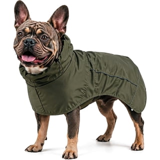 Dog Raincoat Full Body Coverage Waterproof Windproof Hooded Jacket Full Body & Belly Coverage, Hidden Leash Hole, Reflective Strips, Belly Snap Buttons (Green, Medium)