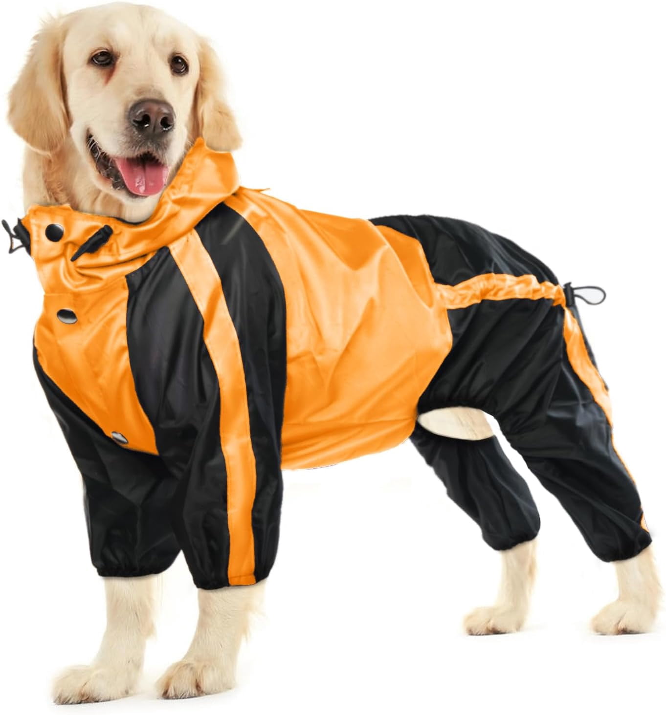 Dog Raincoat