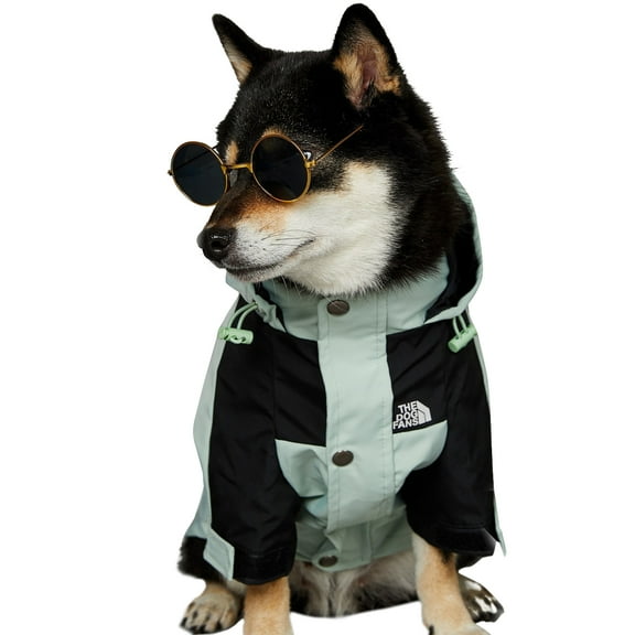 Dog Raincoat for Small & Medium Dogs – Waterproof Hooded Jacket with Leash Hole & Reflective Design, Perfect for Walks & Hikes