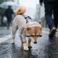 thumbnail image 1 of Dog Raincoat with Leash Hole, Hoodie with Reflective Strip Slicker Clear Dog Rain Coat,Transparent Jacket for Small Medium Large Dogs, 1 of 5