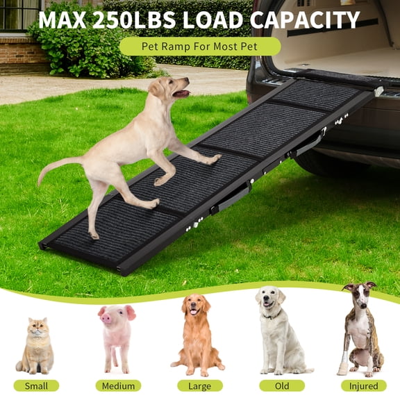 Dog Ramp for Car - 63" X 17" Dog Ramps for Large Dogs, Folding Dog Ramp for Truck, Weight Capacity 250 Pounds, Non-Slip Surface, and Folds for Easy Transport