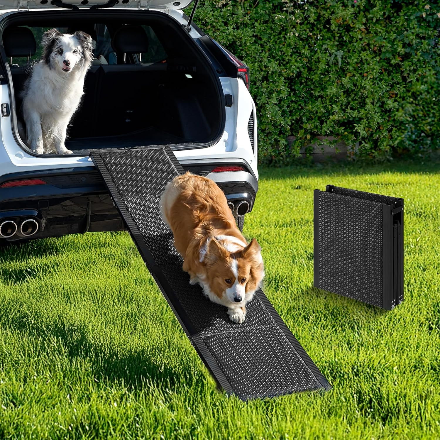 Dog Ramp for Car, 71