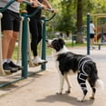 thumbnail image 1 of Dog Rear Hip Support Brace, Black, Size L, 1 Piece - Ideal For Canine Hip & Leg Joint Support, Adjustable Fit For Enhanced Mobility, Comfortable Dog Leg Protection For Active, 1 of 7