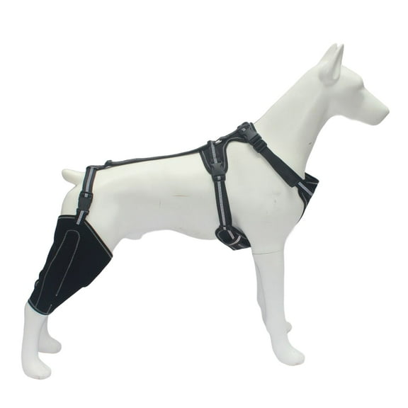 Dog Rear Leg Brace Sleeves Leg Guard for Injury Prevention for Post Surgeries Recovery Injury Prevention