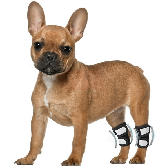 Dog Rear Leg Hock Ankle Brace for Torn ACL & CCL with Metal Spring Inserts and Reflective Straps (1 Pair)