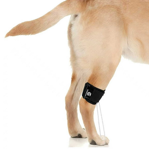 Dog Rear Leg Support Brace for Foot Drop, Canine Knuckling Prevention, Toe Dragging Assistance