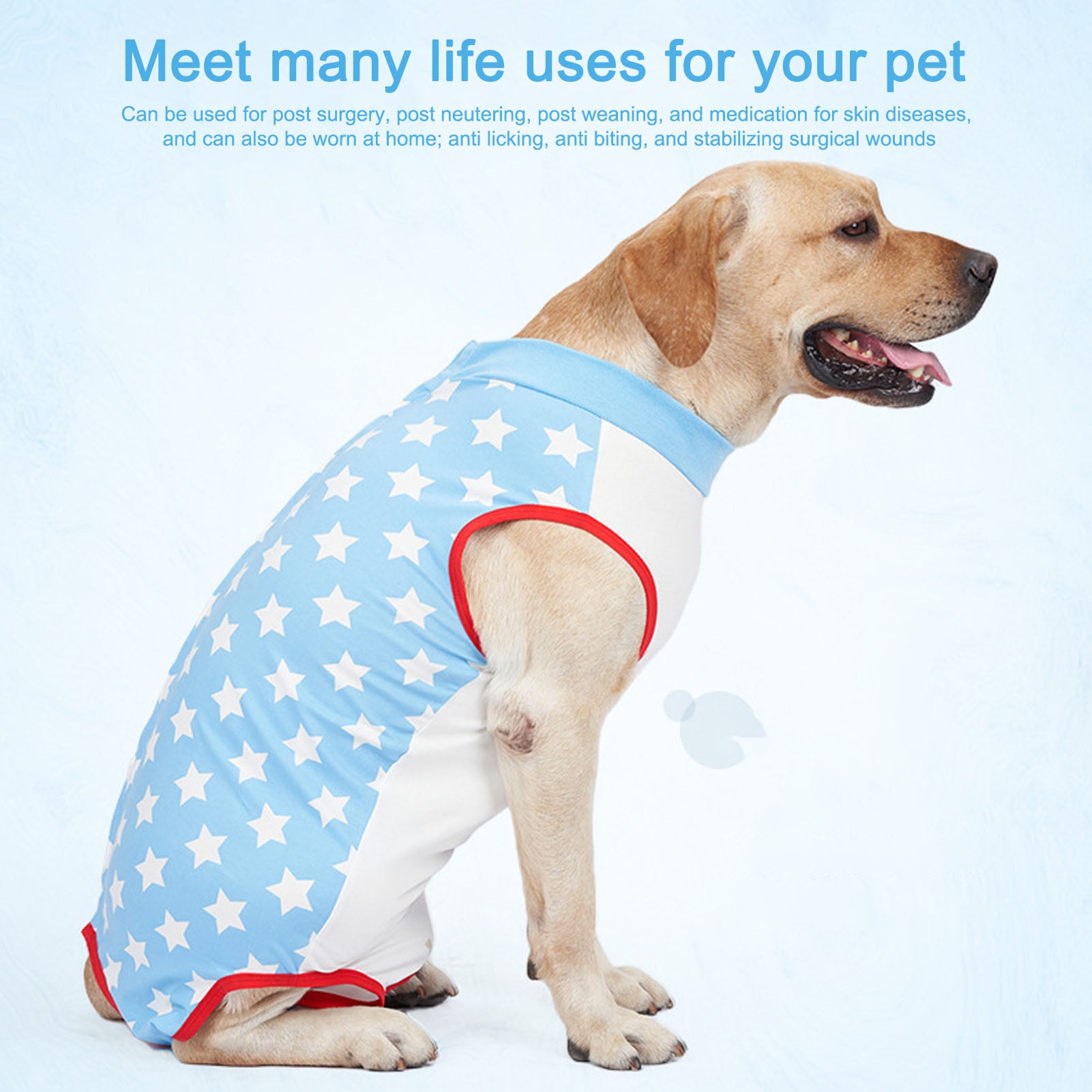 Dog Recovery Suit, Comfortable Fine Stitching Dog Surgical Bodysuit ...