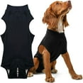 thumbnail image 1 of Dog Recovery Suit Male Neuter Suit Female Spay Shirt Protect Dog's Skin Anti Licking Abdominal Wounds Doggie Onesie Pet Bodysuit Alternative to Cone(Black,XS), 1 of 8