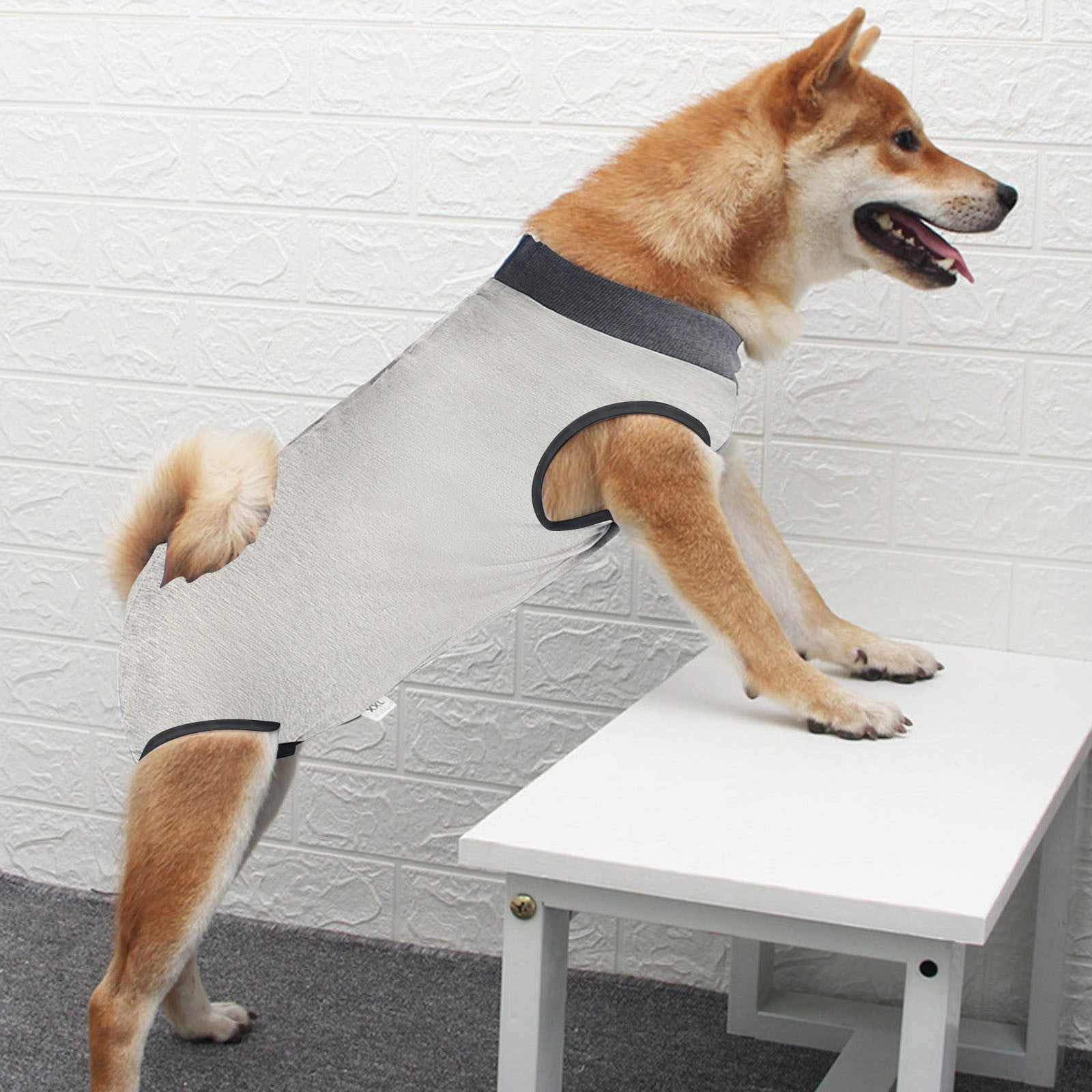 Dog Recovery Suit Onesie After Pet Operation for Female Male Dogs Cats
