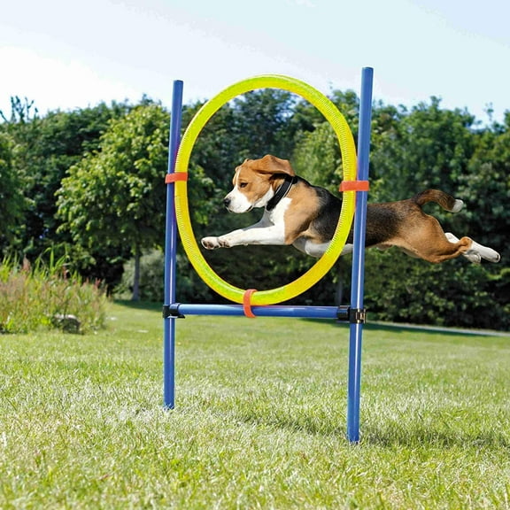 Dog Ring Agility Kit Hoop Jump Set,Training Course Equipment Professional,Jump Obstacle Course for Dogs Outdoor Backyard Set,21.7’’ in Diameter