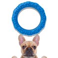 thumbnail image 1 of Dog Ring Chew Toy, Durable Interactive Tension Ring for Puppy Teething & Training, Non-Toxic Pet Toy for Boredom _ Blue, 1 of 6