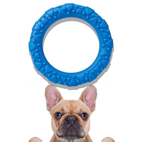 Dog Ring Chew Toy, Durable Interactive Tension Ring for Puppy Teething & Training, Non-Toxic Pet Toy for Boredom _ Blue