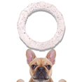 thumbnail image 1 of Dog Ring Toy, Durable Tension Ring Chew Toy for Training, Teeth Safety, Pet Puzzle Toy for Small Medium Dogs, Colorful Pet Supplies _ Clear, 1 of 6