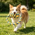 thumbnail image 1 of Dog Rope Chew Toy Tough Fiber for Teeth Cleaning And Teething Interactive Tug Toy for Medium And Large Dogs, 1 of 6