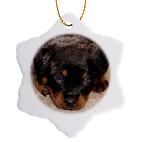 3drose, Dog Rottweiler Puppy, 3 inch Snowflake Porcelain Ornament