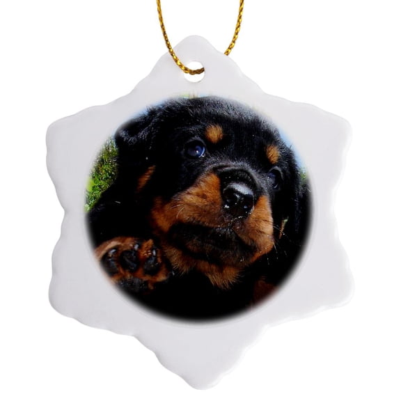 3drose, Dog Rottweiler Puppy, 3 inch Snowflake Porcelain Ornament
