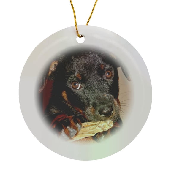 3drose, Dog Rottweiler Puppy, Circle Porcelain Ornament