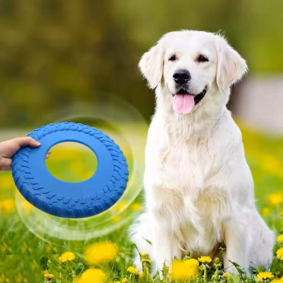 Outdoor Blue Dog Rubber Tire Flyer Dog Frisbee Fetch Toy