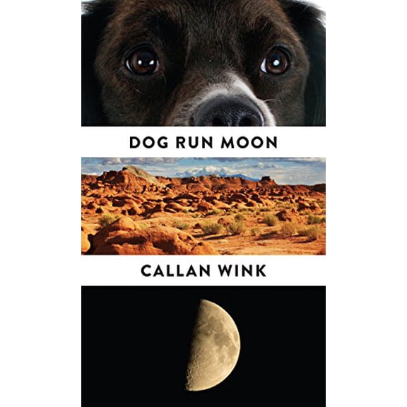 Dog Run Moon: Stories (Paperback) by Callan Wink