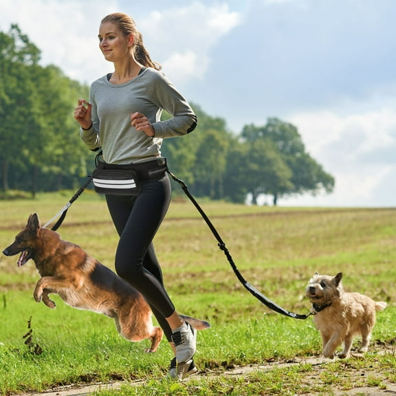 Dog Running Lead, Waist Belt Hands Free Dog Lead Detachable Pouch Hands Free, Anti-strain, Reflective, Walking, Training, with your Dogs 58.5-75.5 in (for 2 Dog)