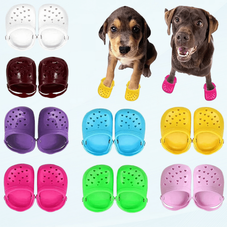 Puppy shoes for summer store