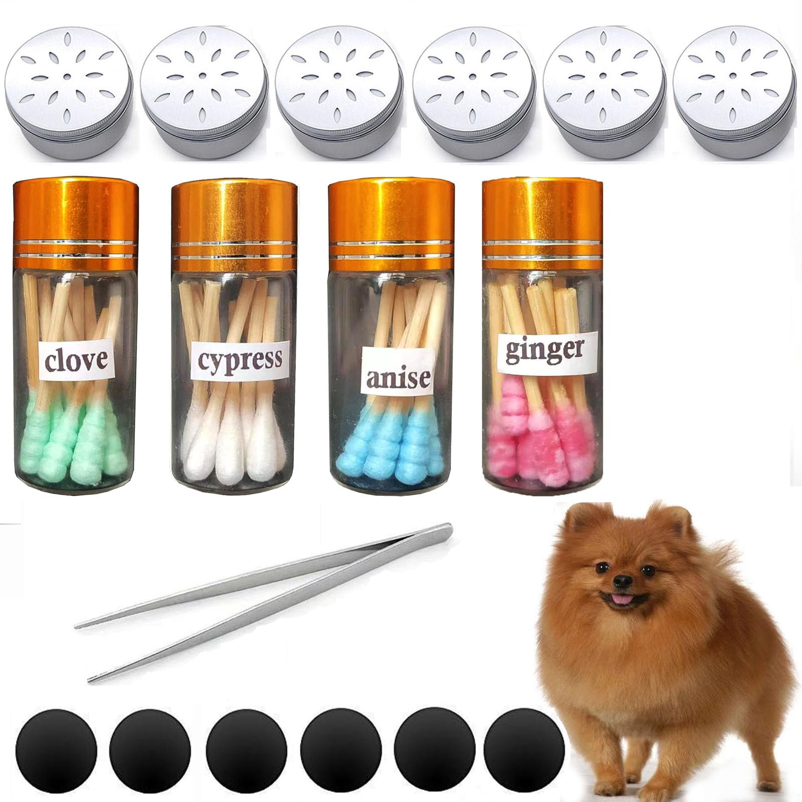 Dog Scent Work Starter kit Available in Anise, Birch, Clove vetiver Flavour Dog Scent Training