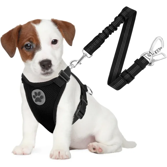 Dog Seat Belt Harness for Car, Dog Car Harness Adjustable Mesh Breathable & Dog Seatbelt Safety Tether with Elastic Bungee for Small Medium Large Pets(Black, Double Clip, S)