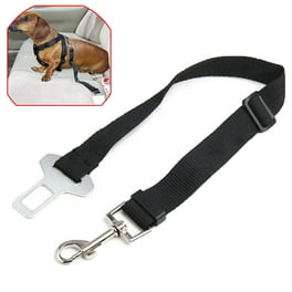 Dog seat belt walmart best sale