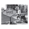 thumbnail image 1 of Dog Service, 1 of 1