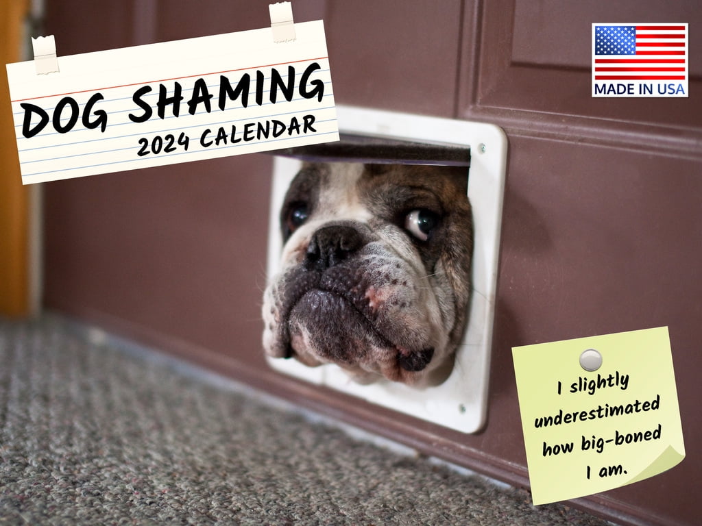 Dog Shaming 2024 Wall Calendar