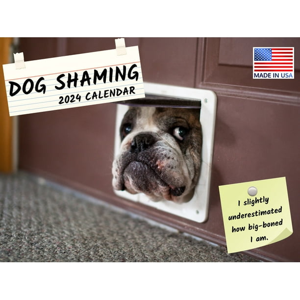 Dog Shaming 2024 Wall Calendar