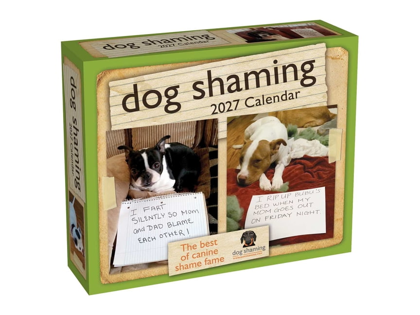 Dog Shaming 2027 Day-To-Day Calendar, (Paperback)