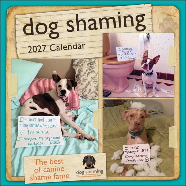 Dog Shaming 2027 Wall Calendar, (Paperback)