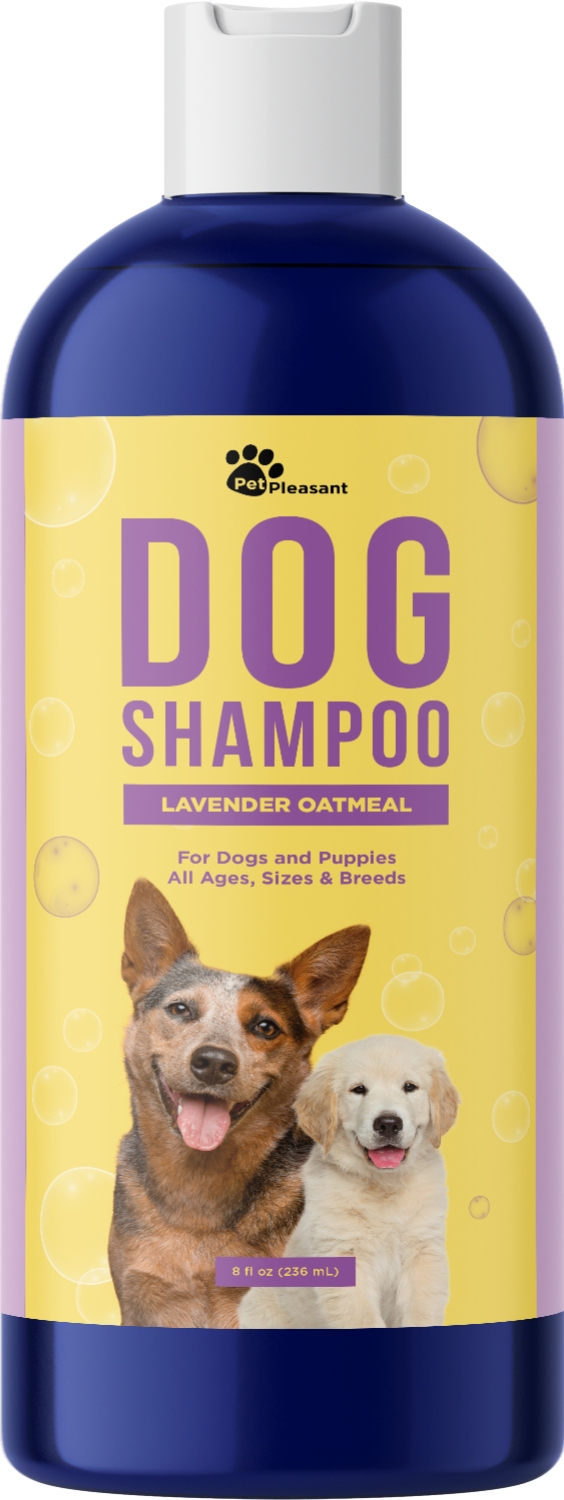 John Paul Pet Oatmeal Shampoo for Dogs and Cats, Sensitive Skin Formula